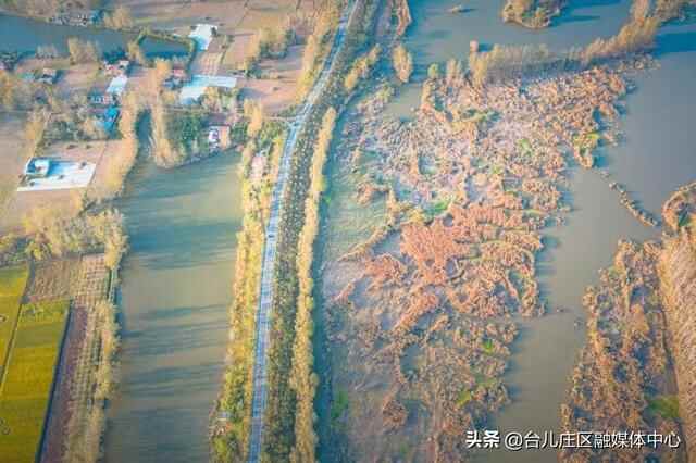 台儿庄区：涛沟河湿地秋色静美如画
