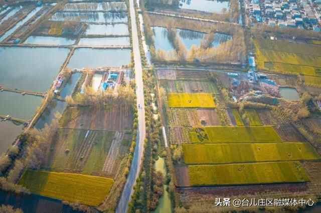 台儿庄区：涛沟河湿地秋色静美如画