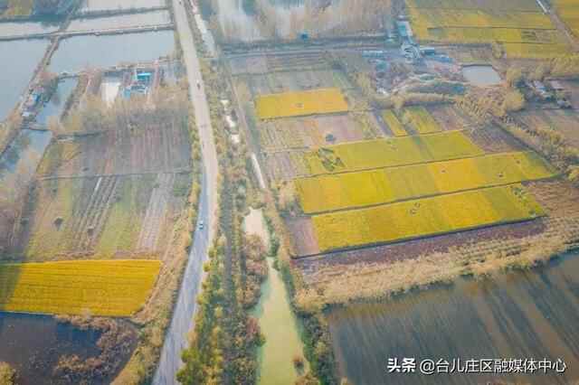 台儿庄区：涛沟河湿地秋色静美如画