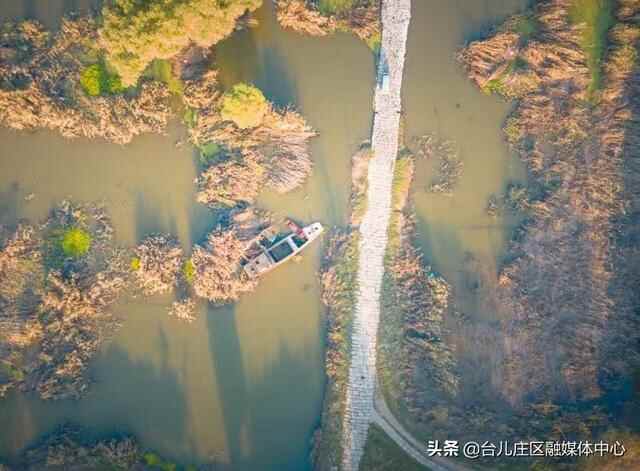 台儿庄区：涛沟河湿地秋色静美如画