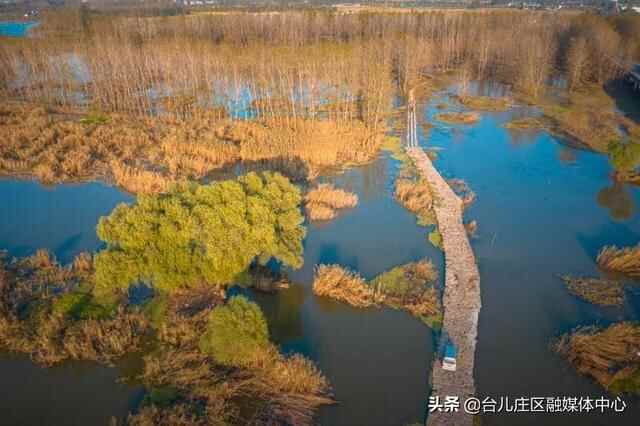台儿庄区：涛沟河湿地秋色静美如画