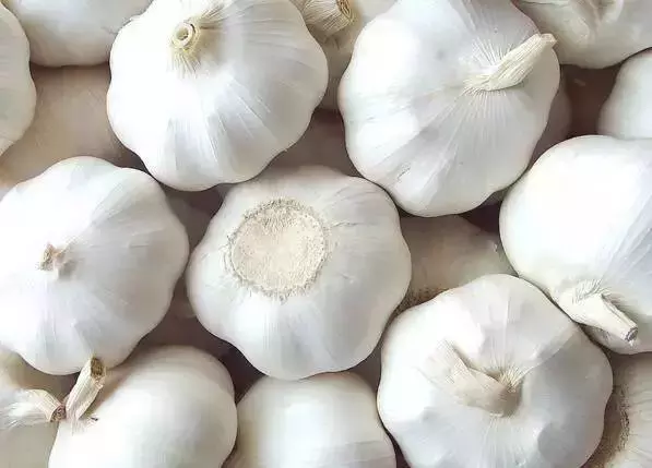东营特色美食，你都吃过吗？