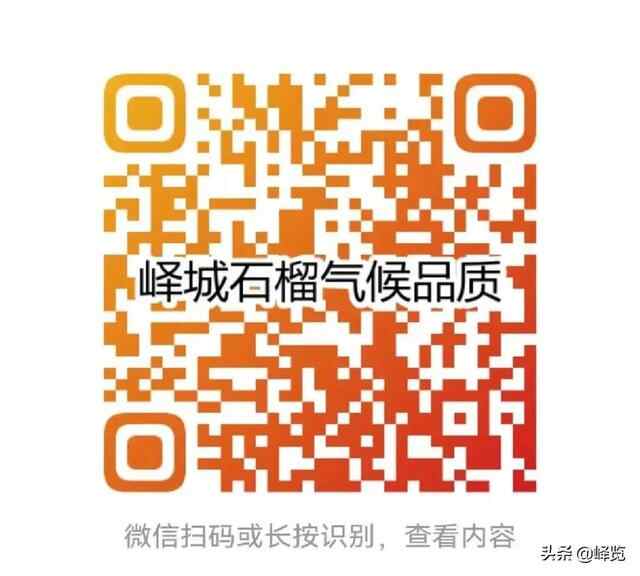 优！峄城石榴有了新的硬核“身份证”