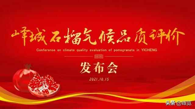 优！峄城石榴有了新的硬核“身份证”