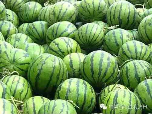 东营十大特色美食，没吃全的不算东营人！