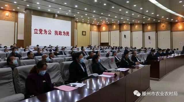 滕州市革命老区建设促进会成立