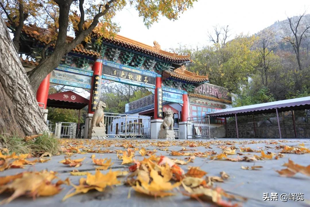 寒潮解除，峄城赏秋正当时