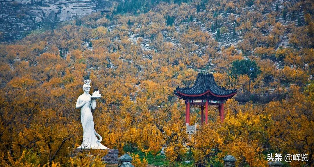 寒潮解除，峄城赏秋正当时