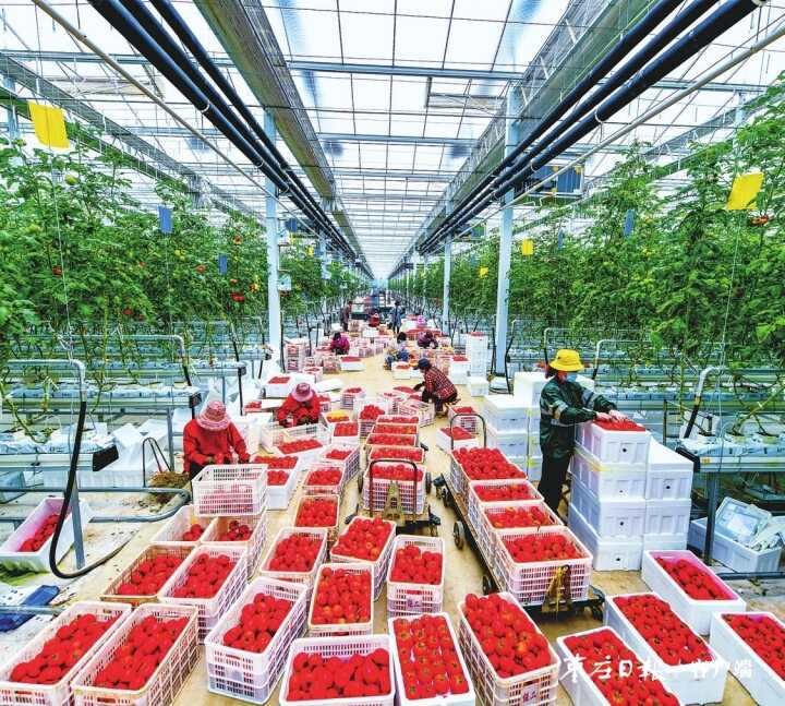 引强增活力 扬帆兴工业——峄城区“先把经济搞上去、集中精力强工业”掠影