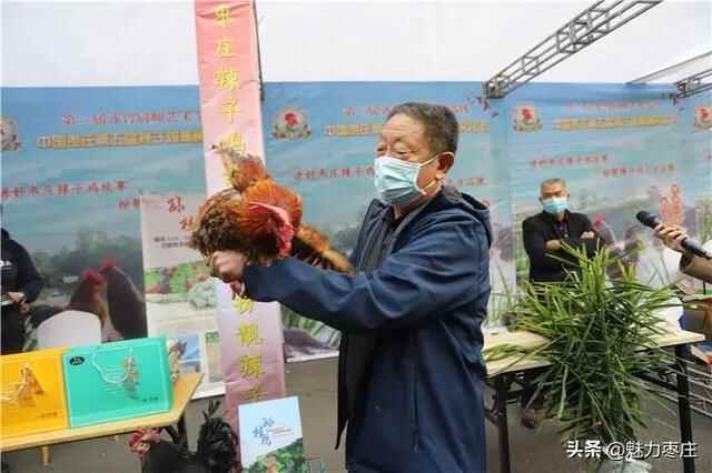 因为一只鸡，恋上一座城 中国枣庄第五届辣子鸡美食文化节热辣来袭