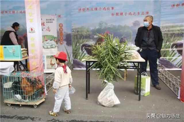 因为一只鸡，恋上一座城 中国枣庄第五届辣子鸡美食文化节热辣来袭