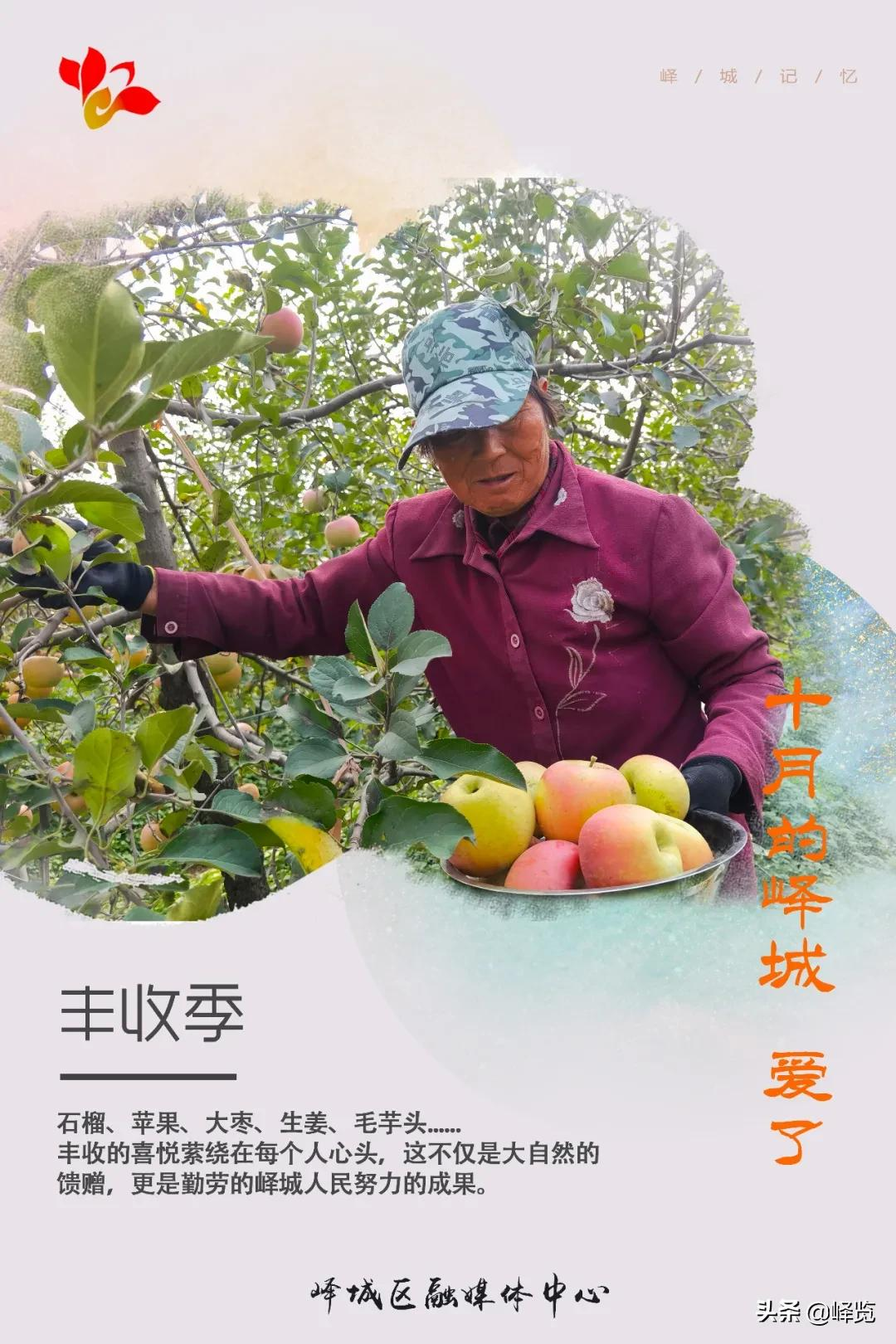 十月的峄城，爱了！