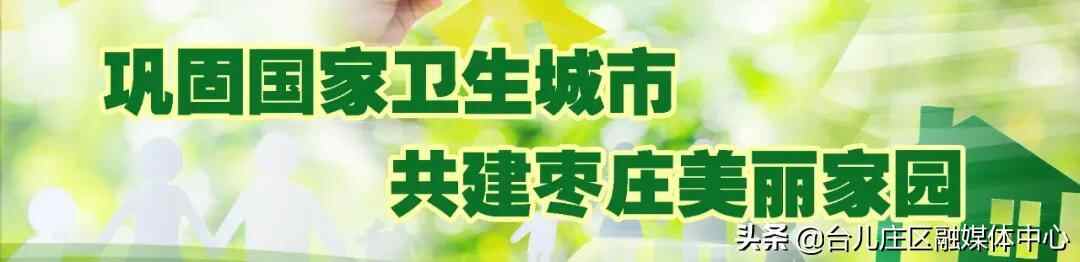 彭照辉带队调研台儿庄区水泥企业