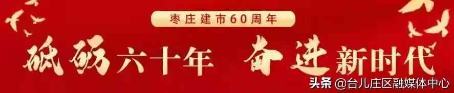彭照辉带队调研台儿庄区水泥企业