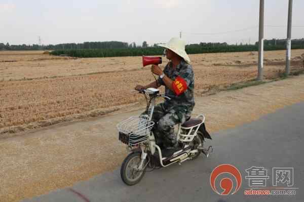 “天上无人机、地面网格化、志愿者联防”——滕州市滨湖镇全力保障夏粮安全丰收