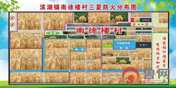 “天上无人机、地面网格化、志愿者联防”——滕州市滨湖镇全力保障夏粮安全丰收