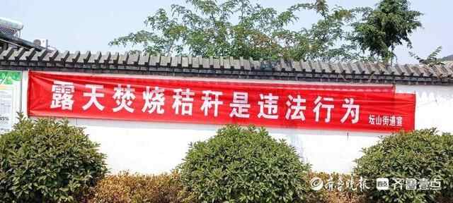 枣庄峄城区坛山街道：“三到位”抓好“三夏”生产