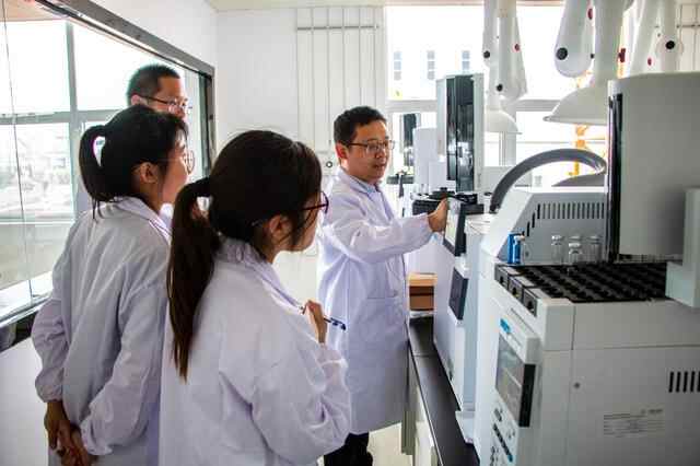 峄城区获评全省“招商引资招才引智先进县”