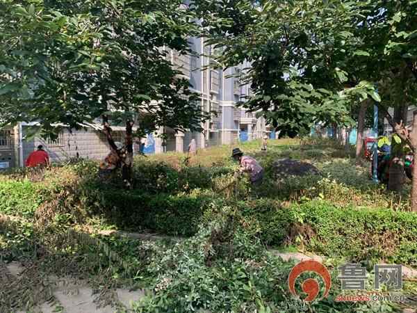 枣庄市峄城区坛山街道：数字赋能社区建设 打造智慧服务典范