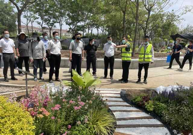 喜讯！枣庄市薛城区在省第一届花境职业技能大赛获大奖