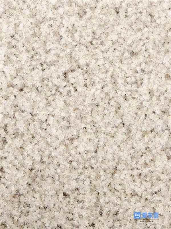 东营印象·美食｜我叫大闸蟹 家在黄河口