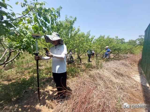 滕州：中医院新址等区域已完成土地测量