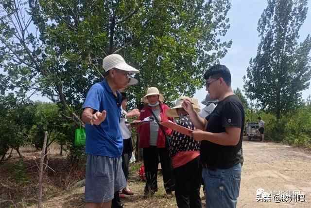 滕州：中医院新址等区域已完成土地测量