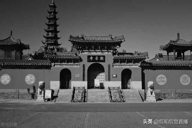 “2020年最具人才吸引力城市100强”东营 精彩照片欣赏
