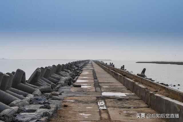 “2020年最具人才吸引力城市100强”东营 精彩照片欣赏