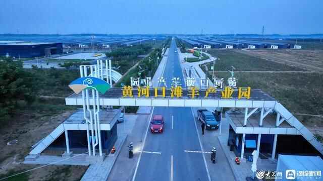 利津县创新“担保融”扶持模式助力乡村振兴高质量发展