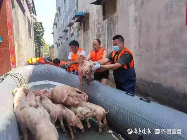 山东好人之星第114期评选结果出炉，东营4人上榜