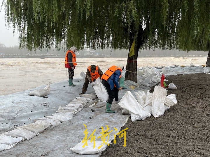 记者直击黄河防汛，山东利津县从00后到七旬老人，干部村民齐上阵