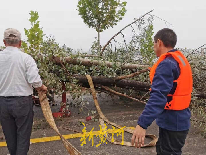 记者直击黄河防汛，山东利津县从00后到七旬老人，干部村民齐上阵