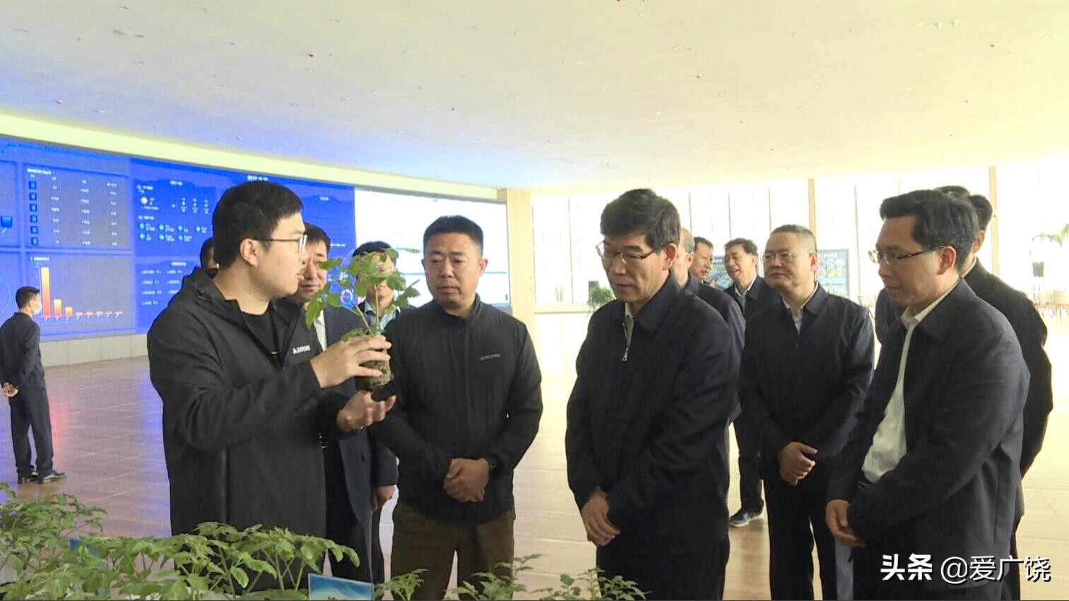 李猛到我县调研