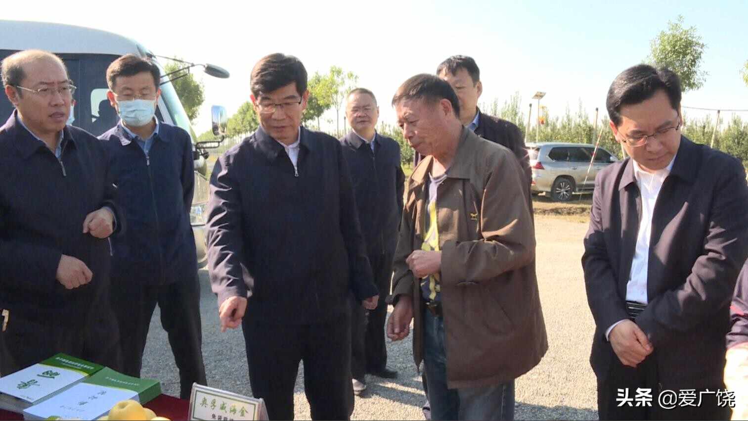 李猛到我县调研