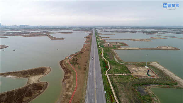 化危为机，有思路才有出路——东营市委、市政府防范化解重大风险工作纪实