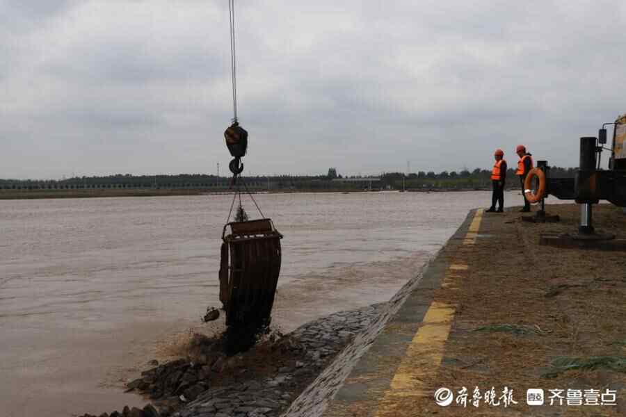 这就是山东·战秋汛｜东营黄河河务局：披甲执剑行，热血护安澜