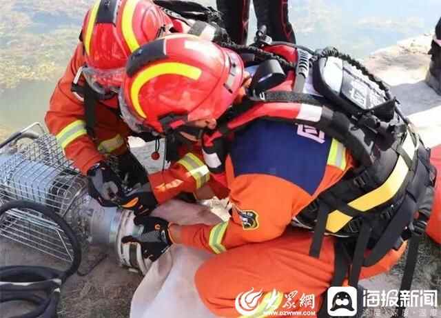 利津县开展水库除险、城市强排防汛应急演练