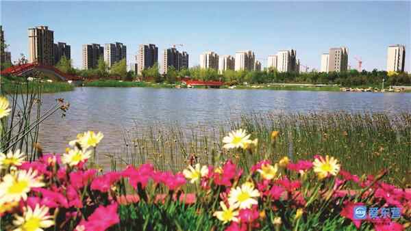 喜迎省第十二次党代会丨东营，幸福像花儿一样绽放——省第十一次党代会以来东营推进...