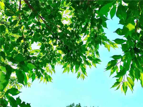 热？热？热！东营晴晒模式已开启 最高温将达37℃