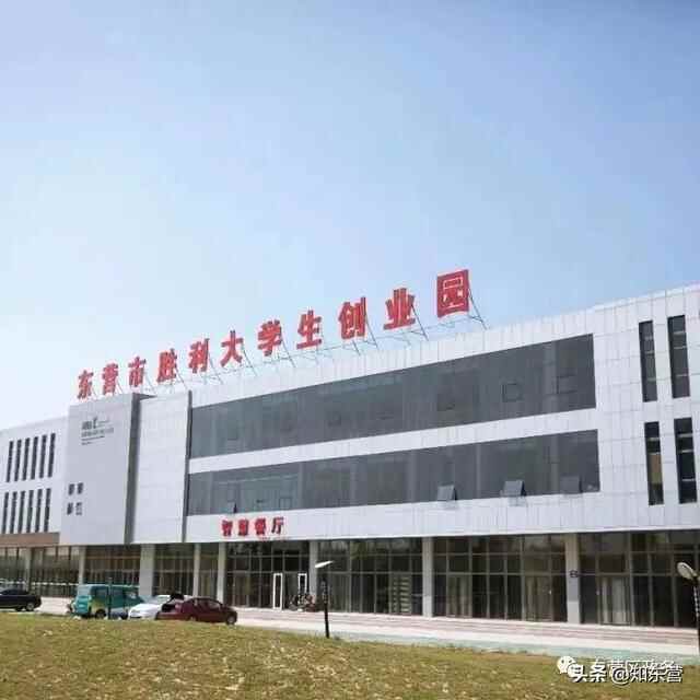 聚才汇智促发展 人才领航谱新篇——区委人才工作会议侧记