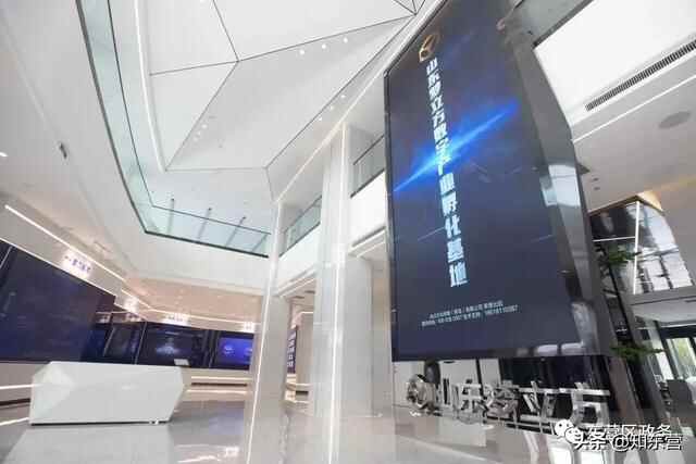 聚才汇智促发展 人才领航谱新篇——区委人才工作会议侧记