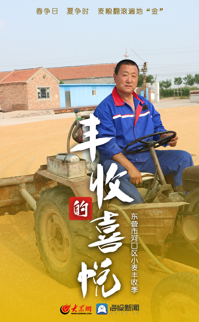 微海报｜春争日 夏争时 河口区麦粮翻滚遍地“金”
