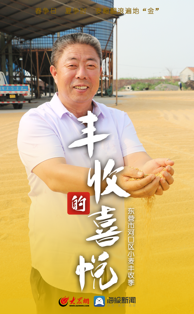 微海报｜春争日 夏争时 河口区麦粮翻滚遍地“金”
