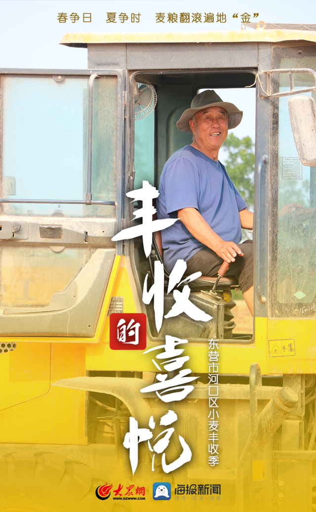 微海报｜春争日 夏争时 河口区麦粮翻滚遍地“金”