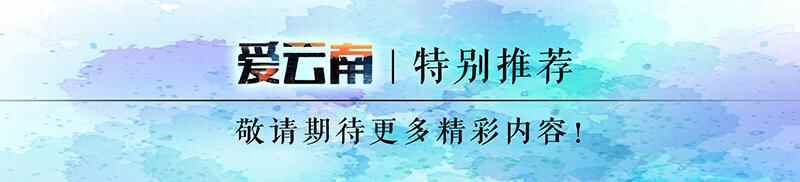 河口这些特色民族美食，才评选出炉的哦！