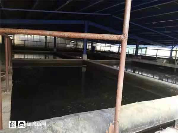 烟台“保国庆集中执法行动”全面展开，102家违法企业被处罚