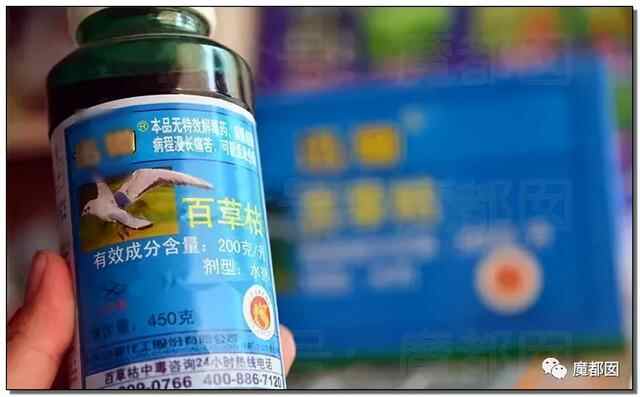 悲剧发生！花季少女喝下百草枯引发爆议！到底真相有多可怖？