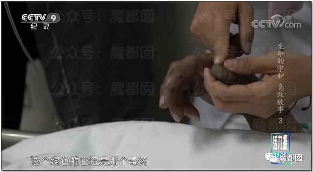 悲剧发生！花季少女喝下百草枯引发爆议！到底真相有多可怖？