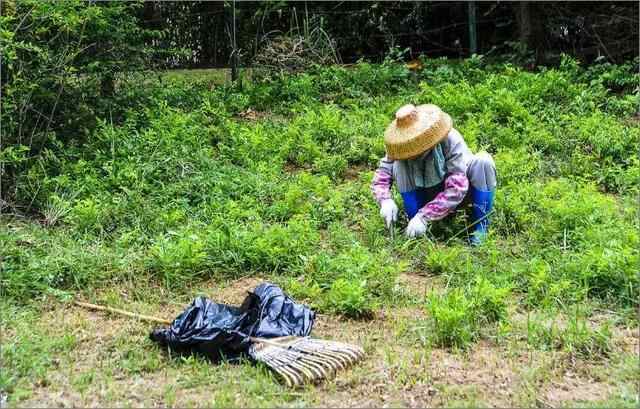 悲剧发生！花季少女喝下百草枯引发爆议！到底真相有多可怖？